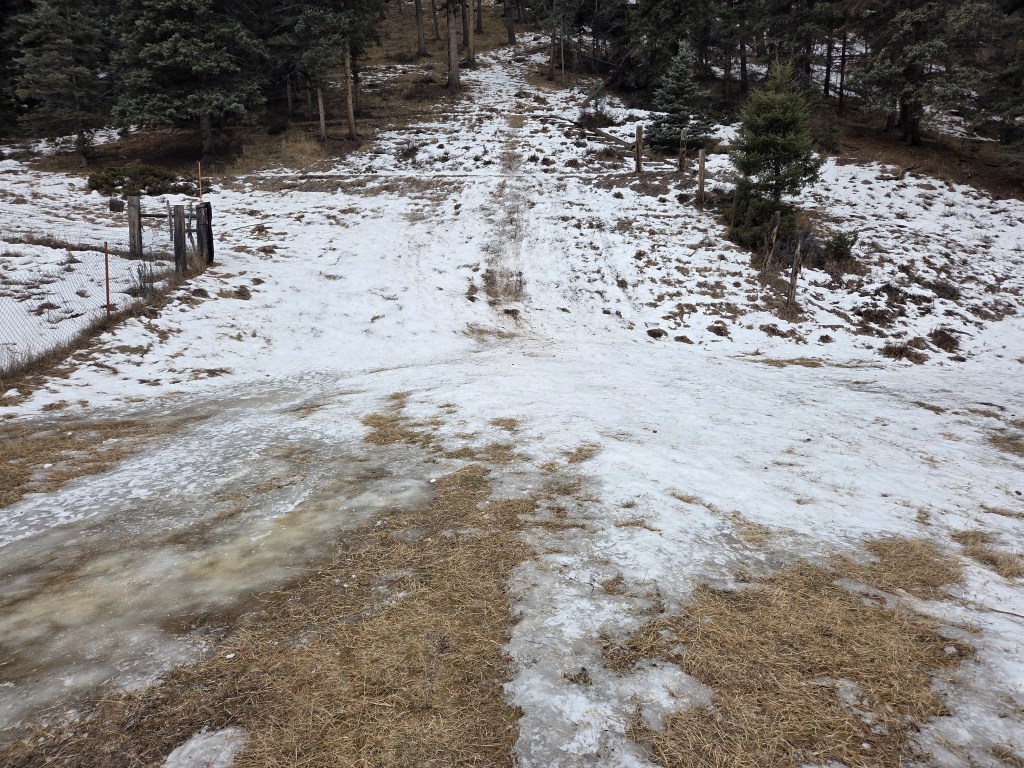 Reevaluating Tradition: A Risky Ride Down the Sled Hill in a Snow-Starved&nbsp;Winter